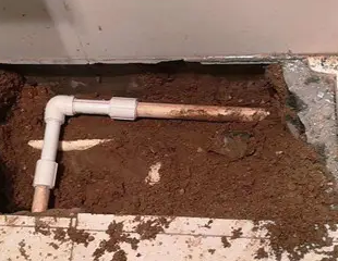 雄安测漏水哪家好