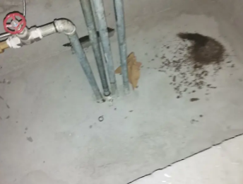 雄安卫生间测漏水价格明细