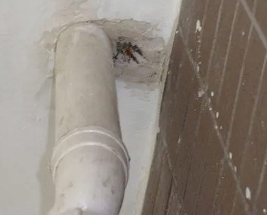 雄安漏水检测哪家好